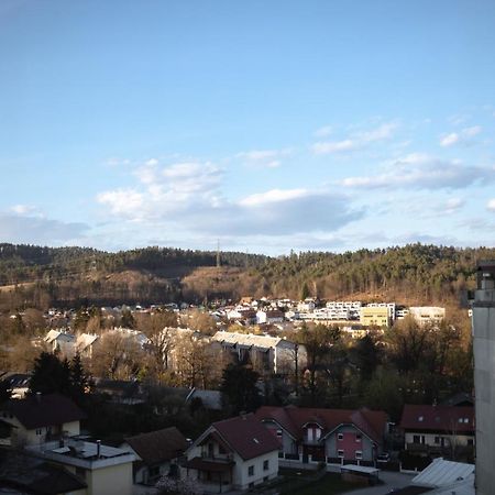 Elegant 1-Bedroom Apartment Near Hill Forest Laibach Exterior foto